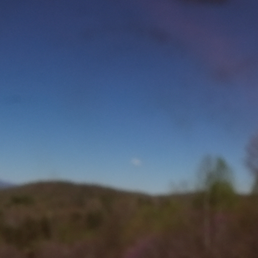 Photography Portfolio